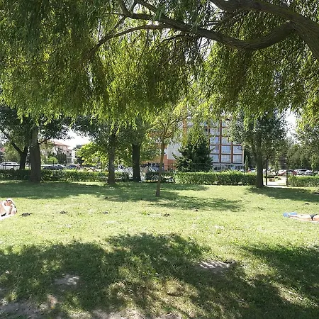 Hanga Апартаменты *